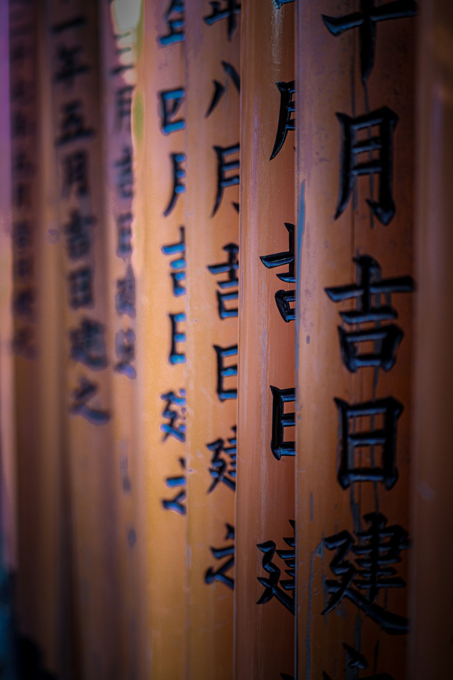 Actualizaciones recientes que mejoran tu experiencia de aprendizaje